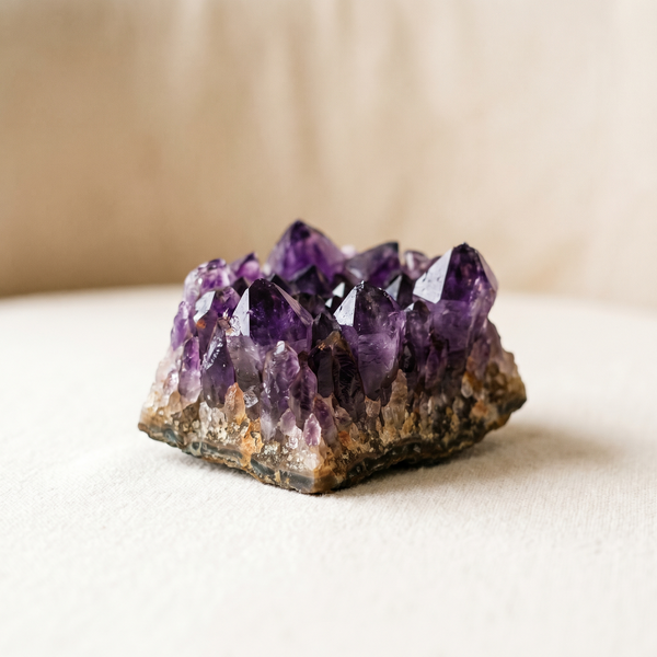 Sovereign Abundance Pyramid — Nervous System — ing 03 amethyst