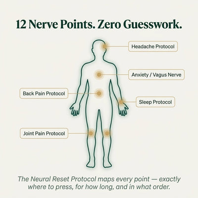 The NeuroTune 128™ - SPIRAD
